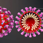 The New Coronavirus as a Weapon?