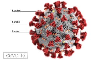 Covid-19 coronavirus diagram (Src: CDC)