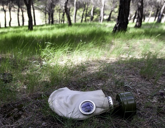 Gas mask in a wooded field
