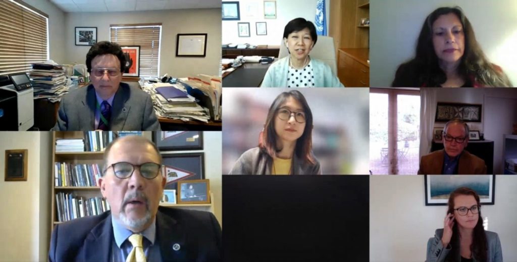 Webinar screenshot: UNODA and CNS host webinar on the Southeast Asia Nuclear-Weapon-Free Zone