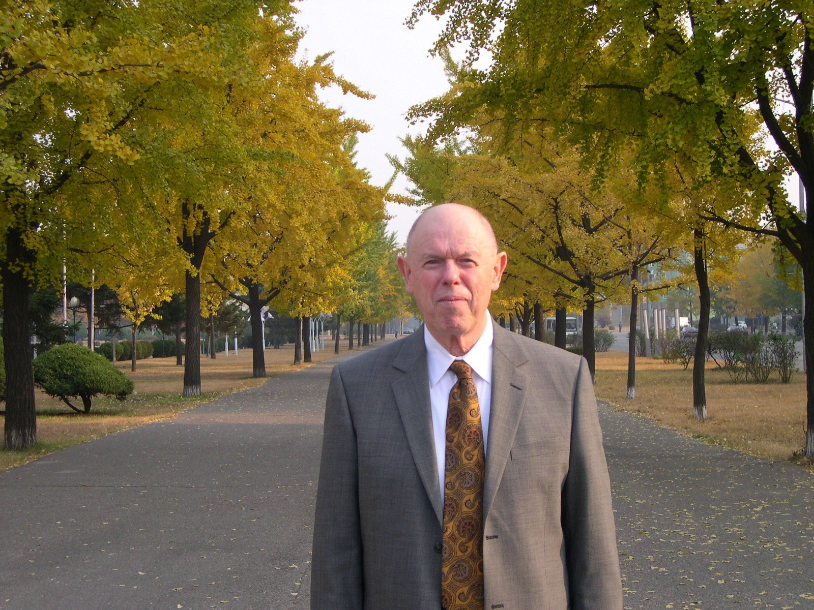 Man in suit and tie standing in a tree-lined ally
