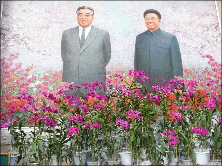Row of scarlet potted flowers placed in front of a painting of DPRK's Great Leader and Dear Leader