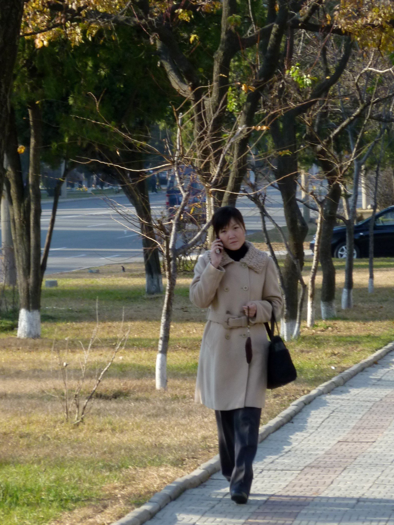 Young professional woman using a cell phone on a sidewalk with trees in the background