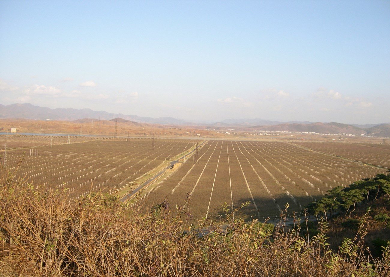 Large agricultural field under a blue sky