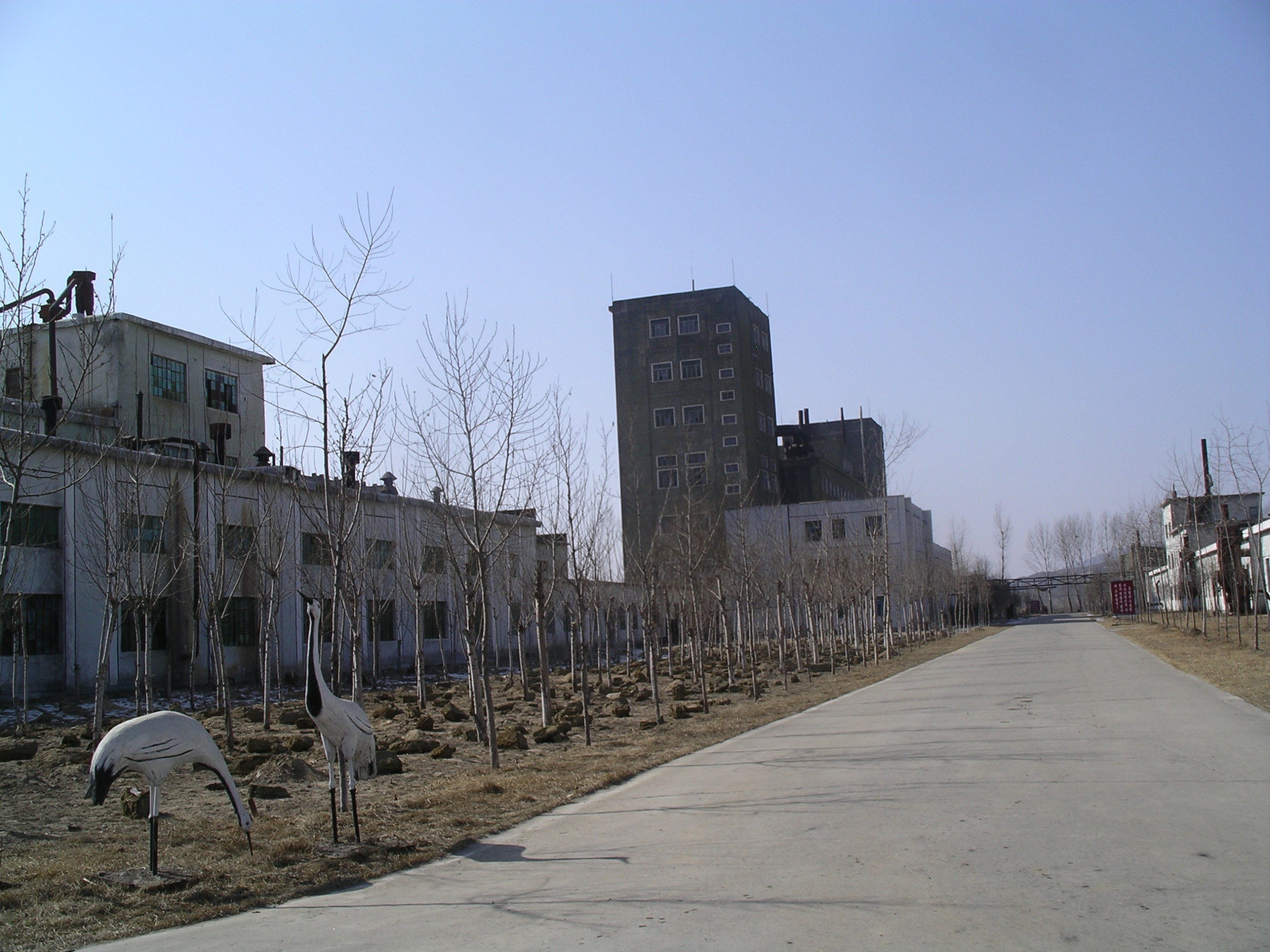 Alley way with newly planted trees and sculpture cranes leading to an industrial rectangular building