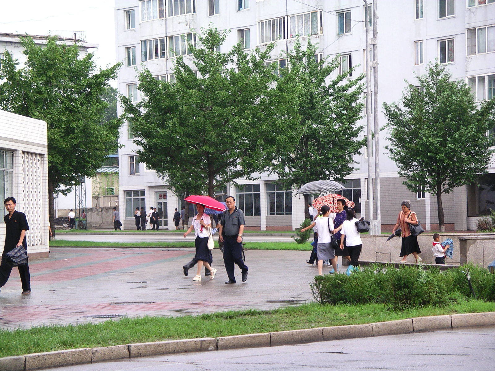 People on a city street under umbrellas in rain