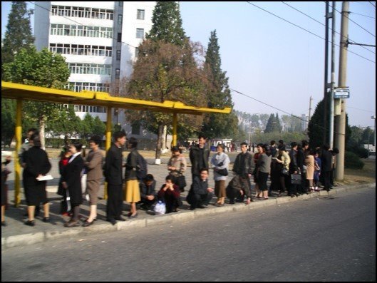 Neatly dressed people queuing at a public bus stop on a tree lined street in Pyongyang