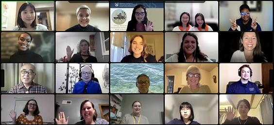 Screen shot of at least 15 participates in online video call